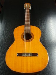 Suzuki Guitar